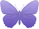 Cymela